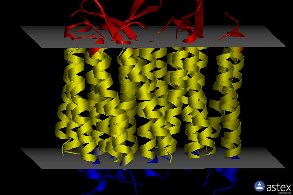 Membrane view of 2wjl