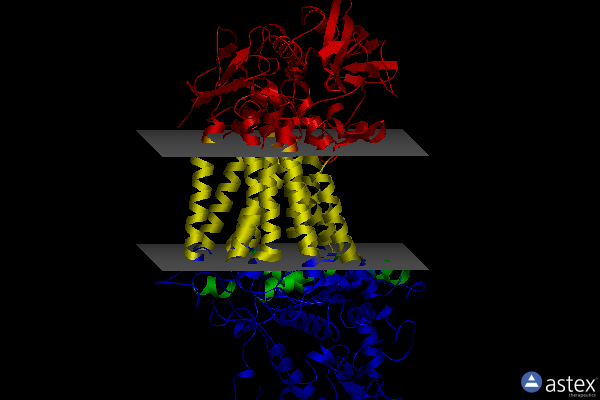Membrane view of 2wjm