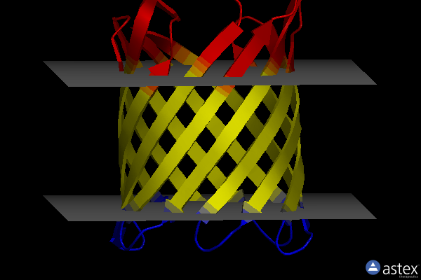 Membrane view of 2wjq
