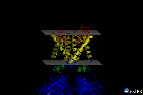 Membrane view of 2wlk