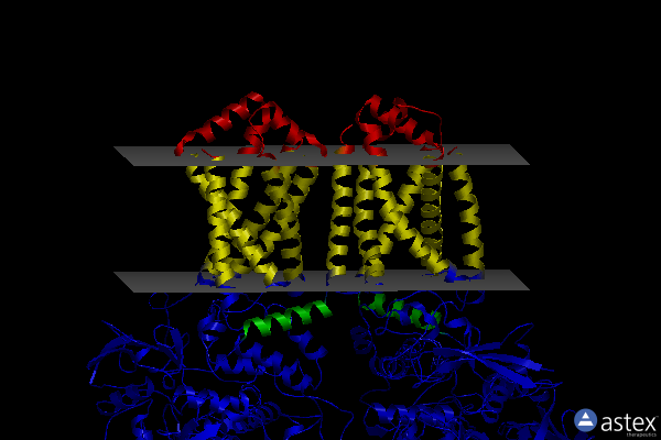 Membrane view of 2wp9