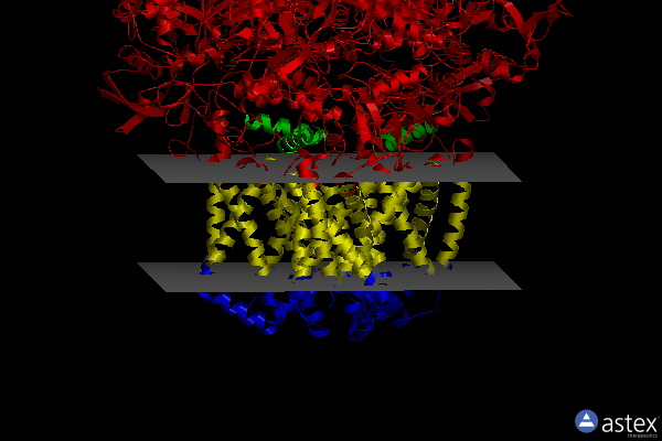 Membrane view of 2ws3