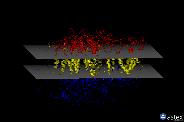 Membrane view of 2wse