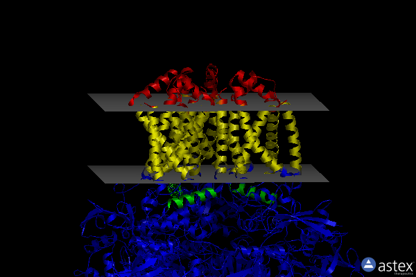 Membrane view of 2wu2