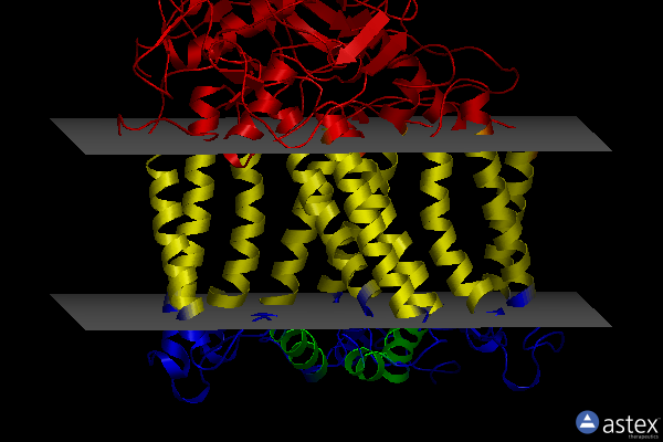 Membrane view of 2wx5