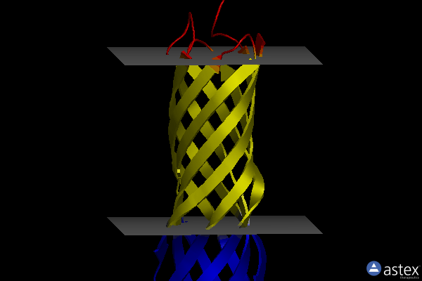 Membrane view of 2x27