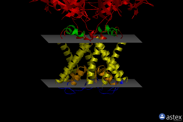 Membrane view of 2x6a