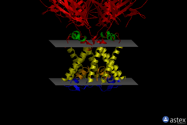 Membrane view of 2x6b