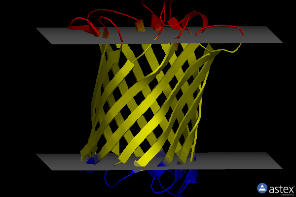 Membrane view of 2x9k