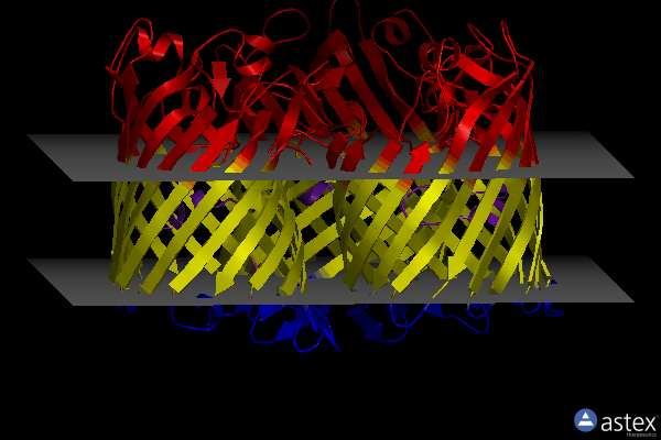 Membrane view of 2xe3