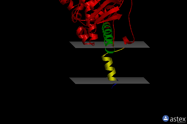 Membrane view of 2xfo