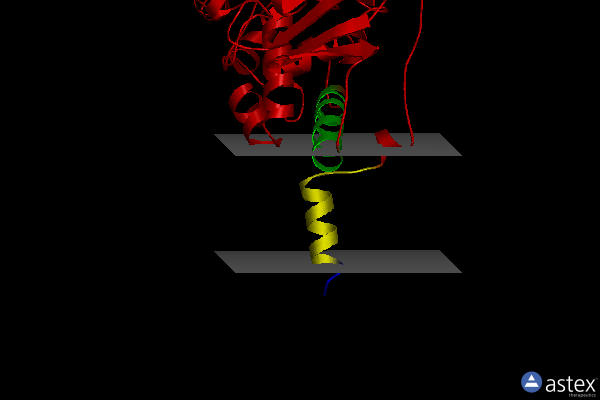 Membrane view of 2xfq