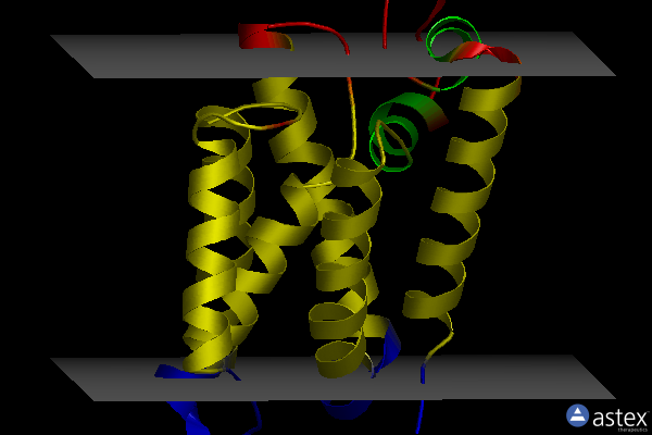 Membrane view of 2xov