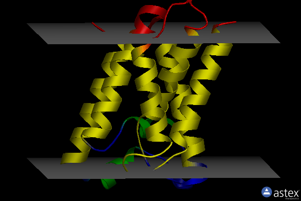 Membrane view of 2xow