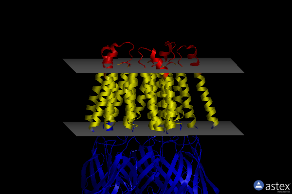 Membrane view of 2xq6