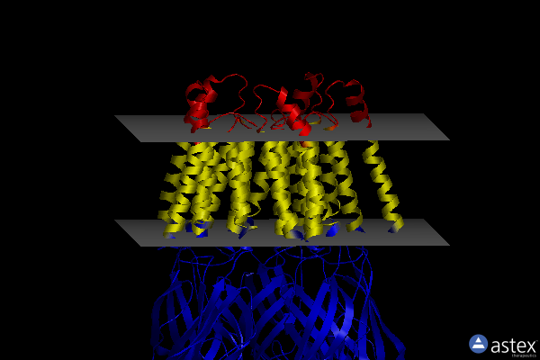 Membrane view of 2xq8