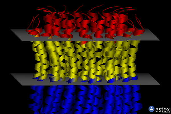Membrane view of 2xqt