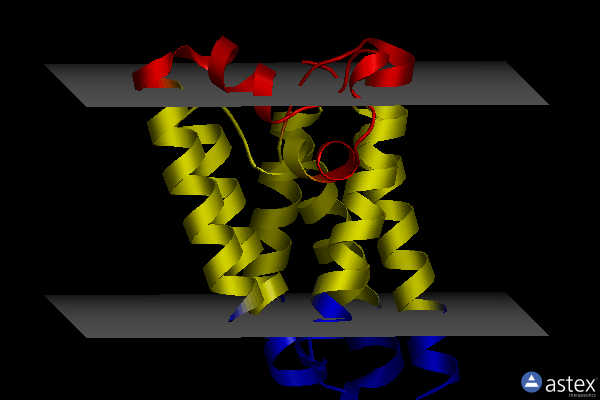 Membrane view of 2xtv