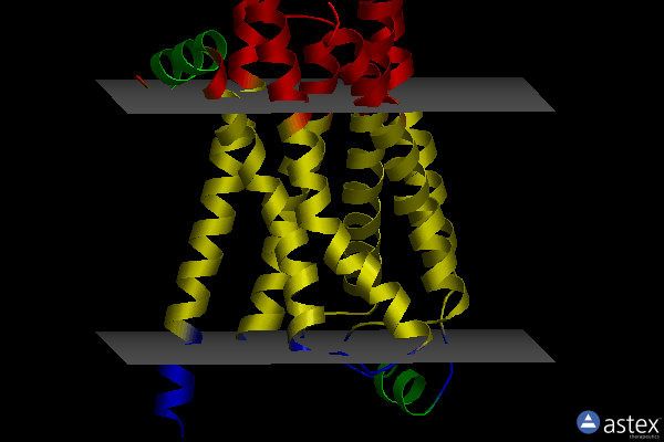 Membrane view of 2y02