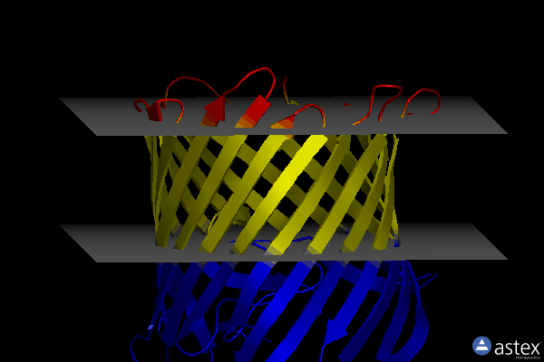 Membrane view of 2y0h