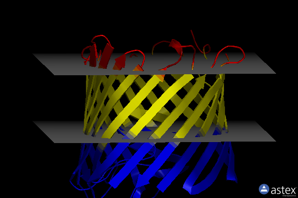 Membrane view of 2y0l