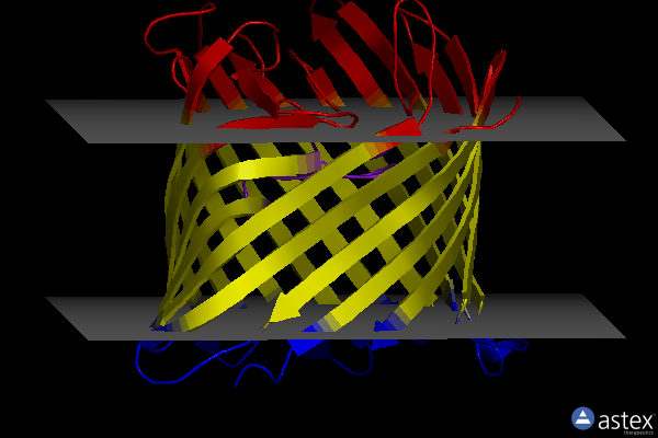 Membrane view of 2y2x