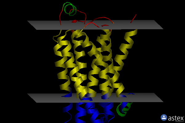 Membrane view of 2ycz