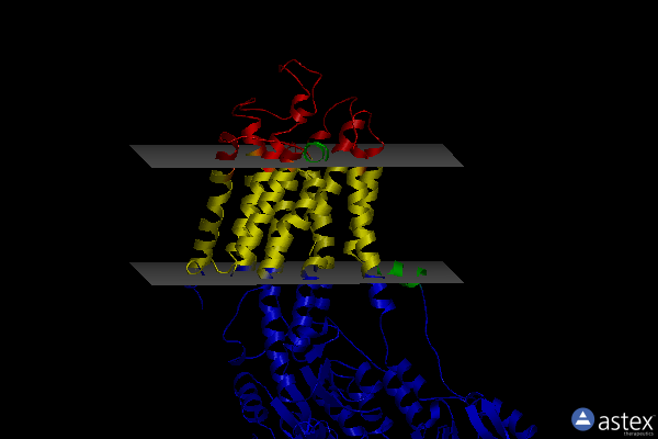 Membrane view of 2yfy