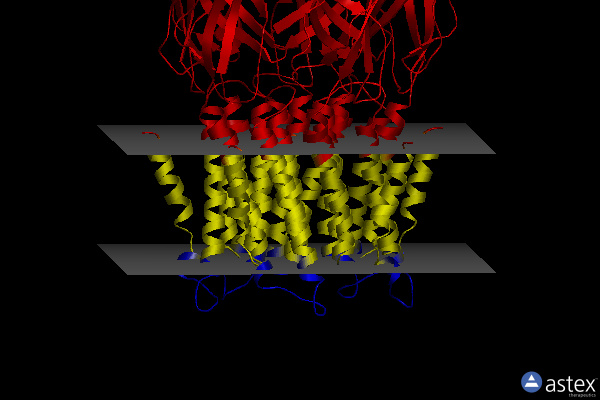 Membrane view of 2yn6