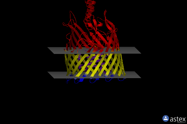 Membrane view of 2ysu