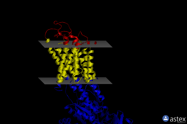 Membrane view of 2zbf