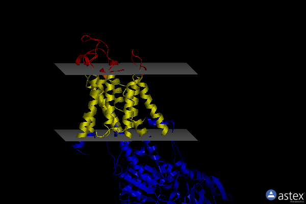 Membrane view of 2zbg