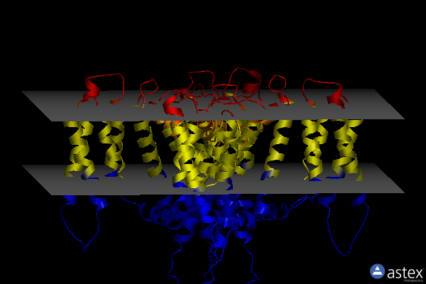 Membrane view of 2zd9