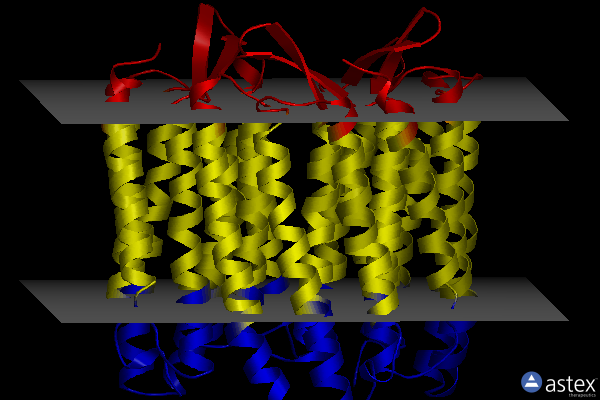 Membrane view of 2zfe