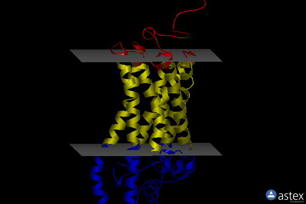 Membrane view of 2ziy