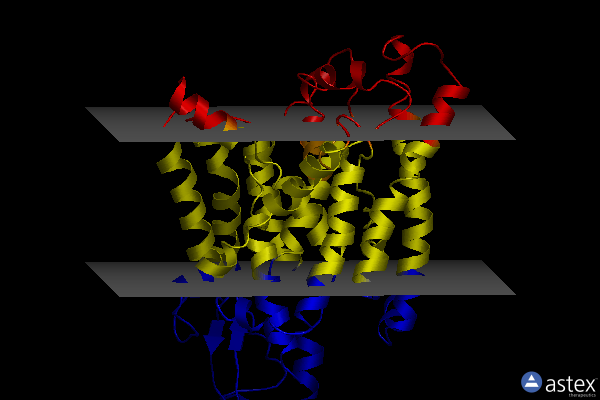 Membrane view of 2zqp
