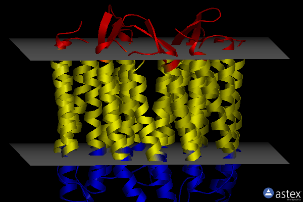 Membrane view of 2zzl