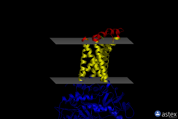 Membrane view of 3ae1
