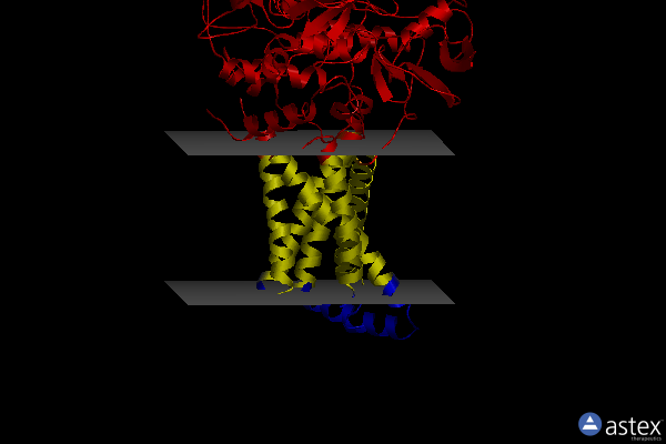 Membrane view of 3ae4
