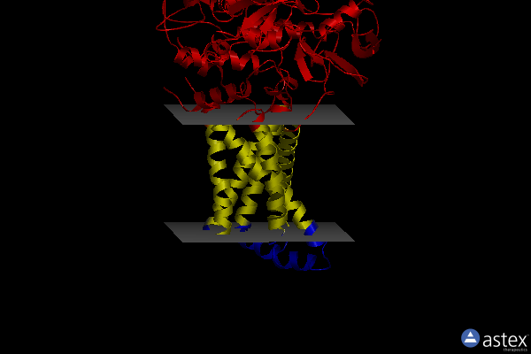Membrane view of 3ae5