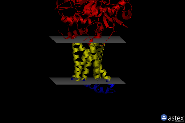 Membrane view of 3ae6