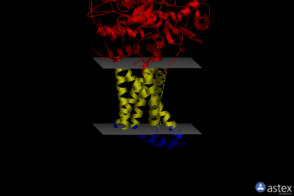 Membrane view of 3aeb