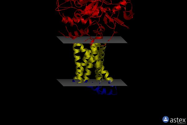 Membrane view of 3aec