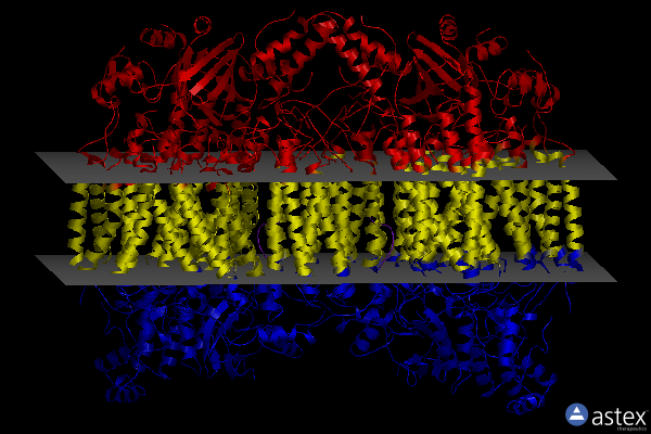 Membrane view of 3ag1