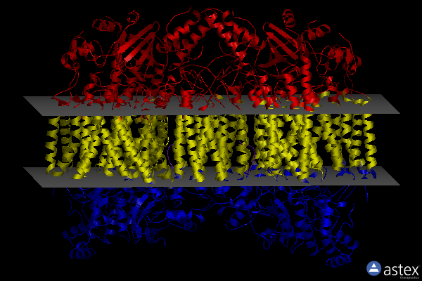 Membrane view of 3ag3