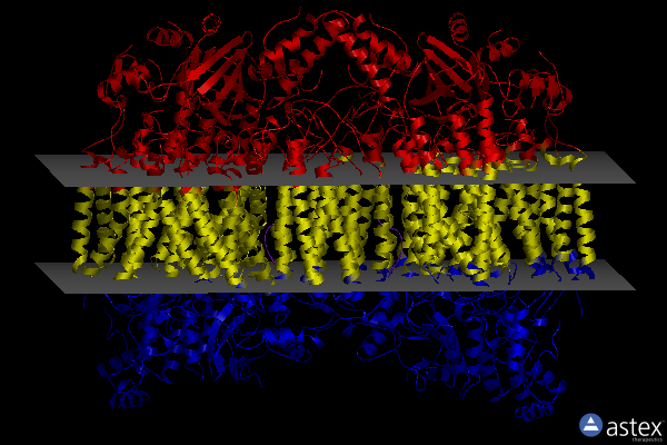 Membrane view of 3ag4
