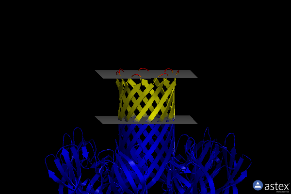 Membrane view of 3anz