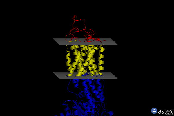 Membrane view of 3ar2