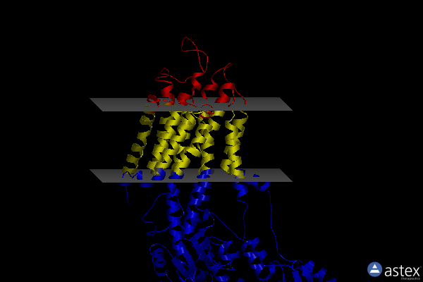 Membrane view of 3ar6