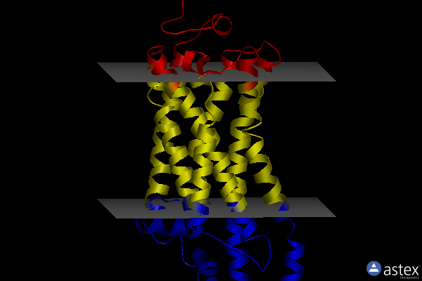 Membrane view of 3aym